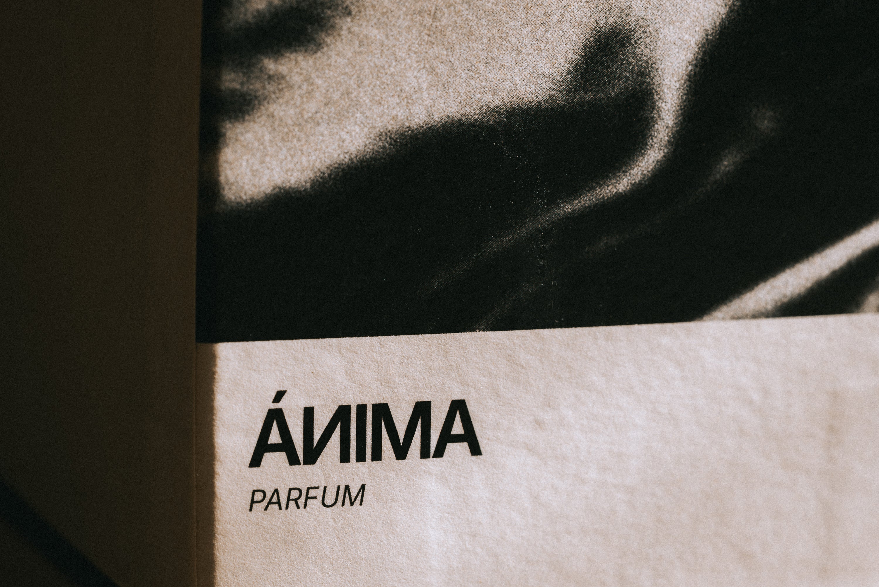 ÁNIMA – Perfume de autor PULSIÓNN [edición arte]